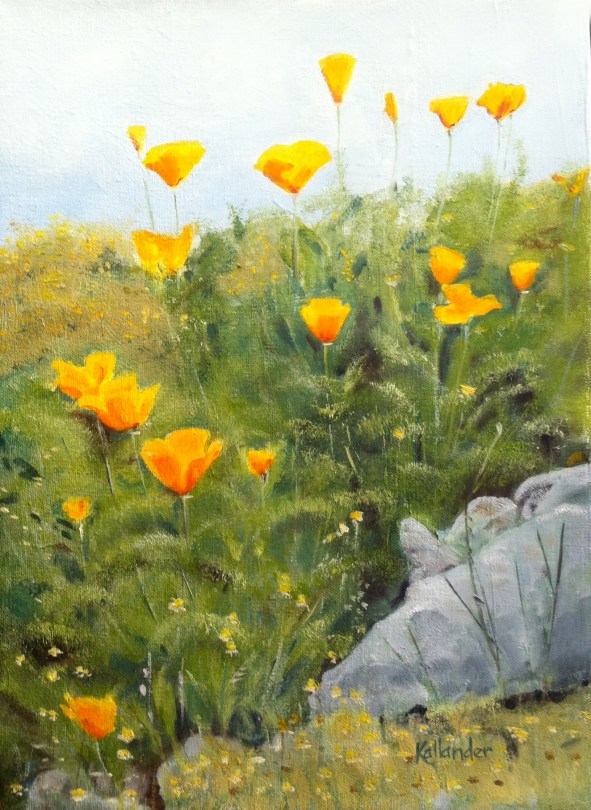 California Poppies