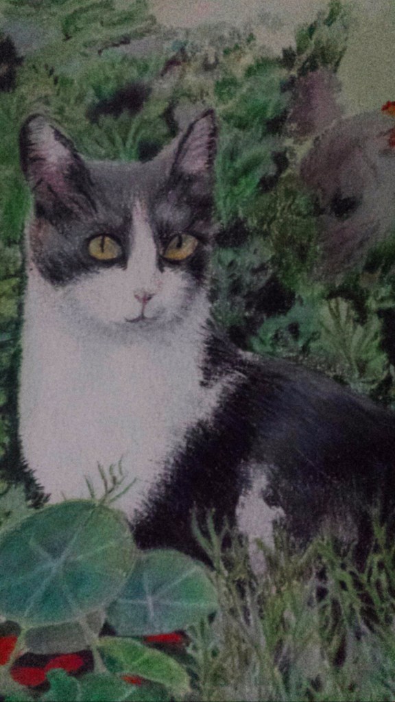 20161103_124013_resized